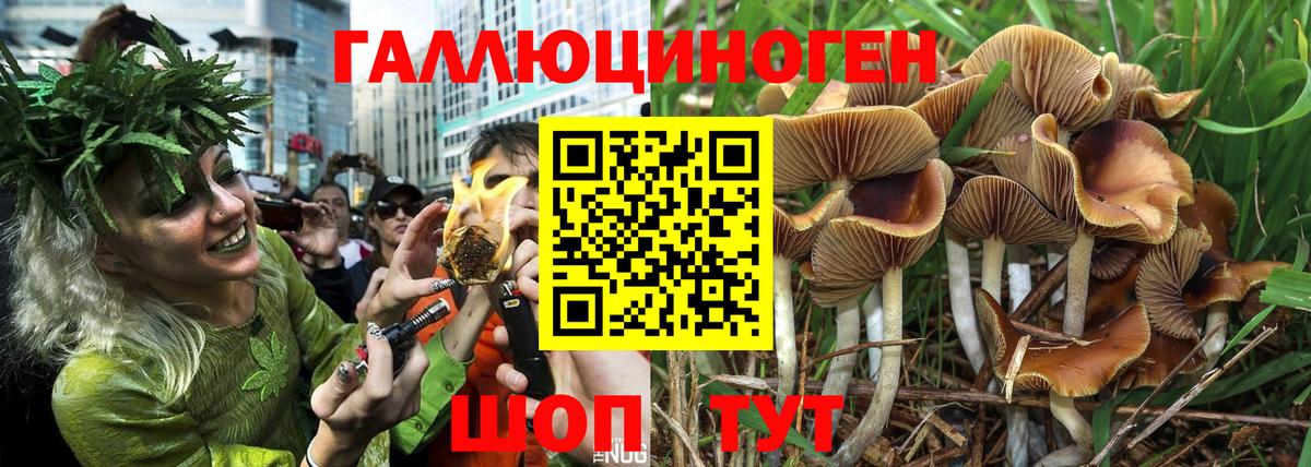 Псилоцибиновые грибы GOLDEN TEACHER Армавир