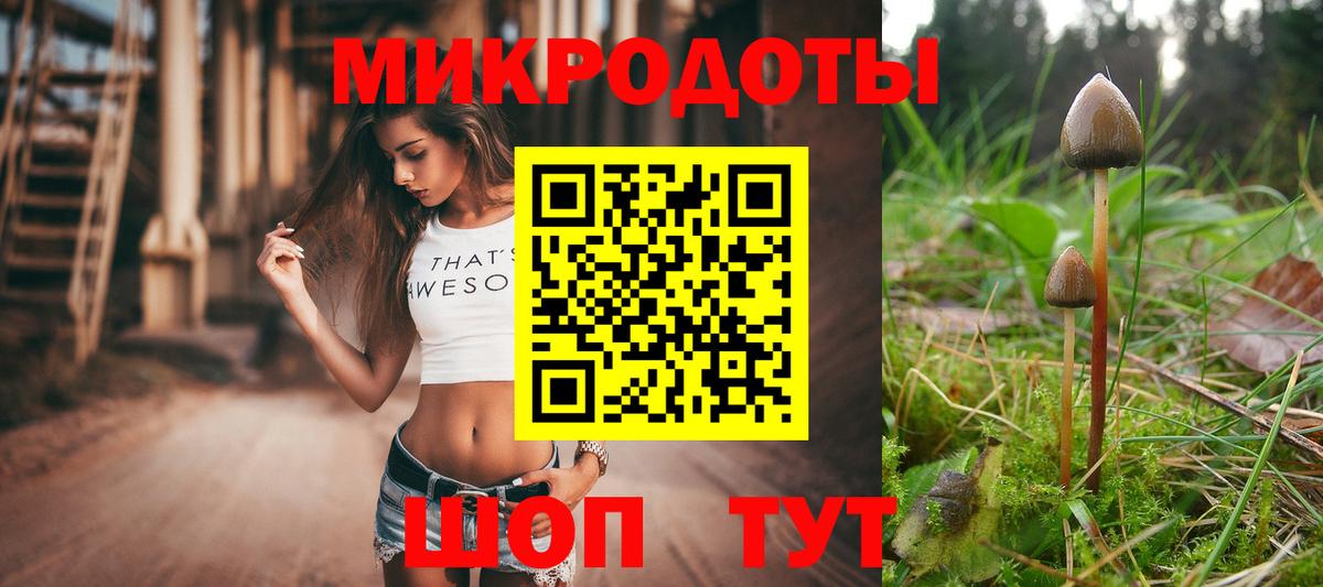 Псилоцибиновые грибы GOLDEN TEACHER  Вход с VPN  Армавир 